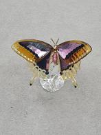 Swarovski Idyllia Vlinder 5650796., Enlèvement ou Envoi