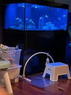Aquarium, Dieren en Toebehoren, Vissen | Aquaria en Toebehoren, Ophalen, Zo goed als nieuw