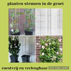 Planten in, om en tegen het huis ondersteunen plantensteunen, Ophalen of Verzenden