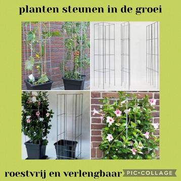 Planten in, om en tegen het huis ondersteunen plantensteunen