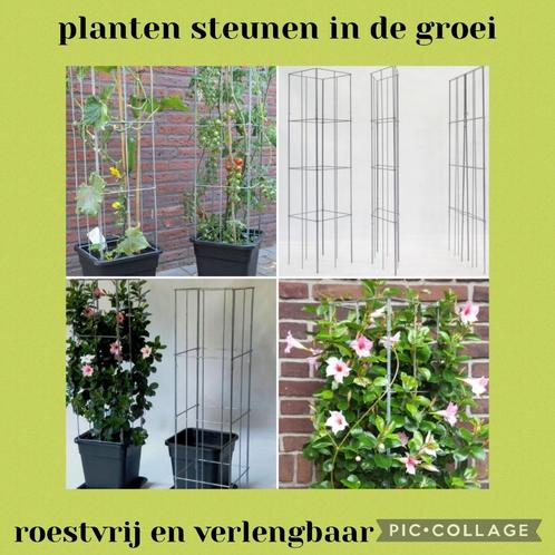 Planten in, om en tegen het huis ondersteunen plantensteunen, Tuin en Terras, Bloembollen en Zaden, Ophalen of Verzenden