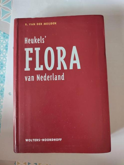 Heukels' Flora van Nederland, Boeken, Natuur, Zo goed als nieuw, Bloemen, Planten en Bomen, Ophalen of Verzenden