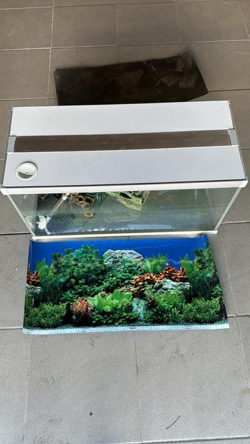 Aquarium 80x35x40 beschikbaar voor biedingen