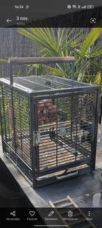 Cage à oiseaux, Animaux & Accessoires, Enlèvement, Cage à oiseaux