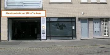 Andere te koop in Assenede beschikbaar voor biedingen