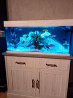 Juwel Rio 180 met cichliden, Dieren en Toebehoren, Vissen | Aquaria en Toebehoren, Ophalen, Zo goed als nieuw