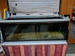 Aquarium gratis 160-60-50 inclusief pomp. Zonder onderstel, Enlèvement
