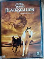 Young Black Stallion (2005) (Disney) DVD, Ophalen of Verzenden, Zo goed als nieuw