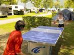 Table de ping Pong pour l extérieur garantie 10 ans PROMO, Sport en Fitness, Tafeltennis, Ophalen of Verzenden, Nieuw, Tafel Outdoor