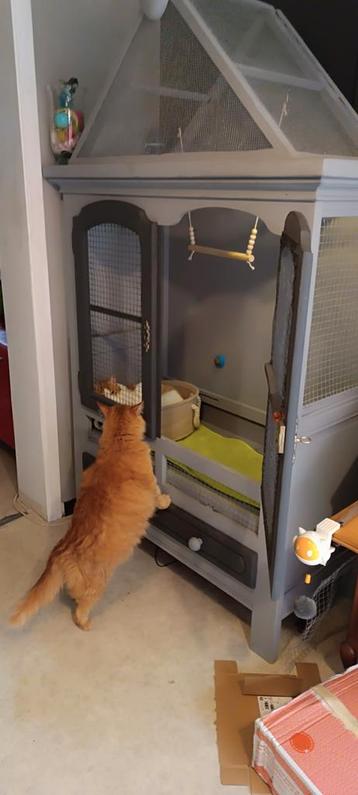 armoire grise, Enlèvement, Neuf, Accessoires pour cage