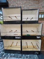Cage d élevage, Animaux & Accessoires, Oiseaux | Cages & Volières, Enlèvement, Utilisé