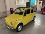 Fiat 500 F - 1979, Achat, Entreprise, Boîte manuelle, Autres couleurs