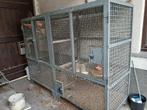 Metalen voliere, dierenkooi, Dieren en Toebehoren, Ophalen, Zo goed als nieuw, Metaal, Volière