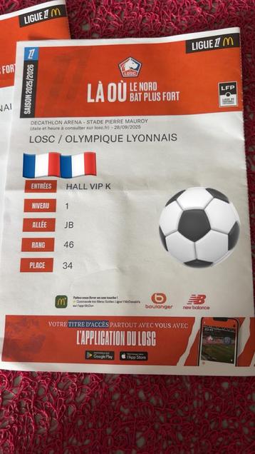 2 VIP-voetbaltickets voor de wedstrijd van Lille Lyon beschikbaar voor biedingen