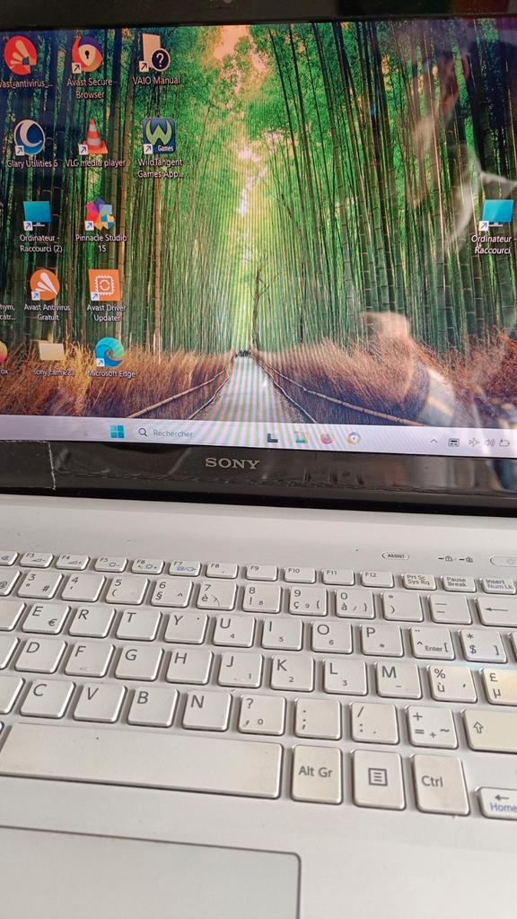 Sony vaio window 11 famille, Computers en Software, Windows Laptops, Gebruikt, 14 inch, HDD, Minder dan 2 Ghz, 8 GB, Azerty, Ophalen of Verzenden