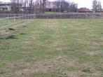 Omheining voor paardeweide
