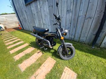 Dax Skyteam 50 cc, Enlèvement, Comme neuf