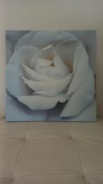 Canvas witte roos, Huis en Inrichting, Ophalen of Verzenden