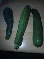 courgettes uit eigen tuin, Ophalen
