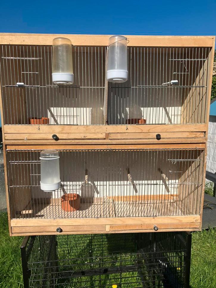 Dit weekend: HOUTEN KWEEKBAKKEN VANAF 5 EURO/STUK, Dieren en Toebehoren, Vogels | Hokken en Kooien, Gebruikt, Overige typen, Hout