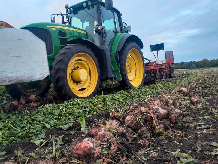 Voederbieten Rialto, Zakelijke goederen, Landbouw | Veevoer, Ophalen