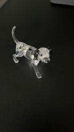 Swarovski Dalmatiër pup staand, Ophalen of Verzenden, Nieuw
