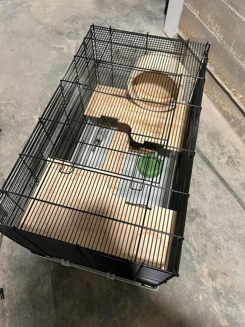 Ruime hamsterkooi met accessoires, Dieren en Toebehoren, Knaagdieren en Konijnen | Hokken en Kooien, Zo goed als nieuw, Kooi, Hamster