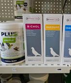 B-Chol Liver Tonic - Supplément pour pigeons - 500 ml - Orop, Animaux & Accessoires, Oiseaux | Accessoires, Enlèvement ou Envoi
