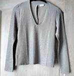 Zilver shirtje, Ophalen, Zo goed als nieuw, Maat 38/40 (M)