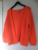 Oranje bernadette, Vêtements | Femmes, Pulls & Gilets, Enlèvement ou Envoi, Orange