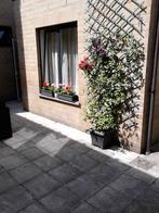 HUISHOUDHULP GEZOCHT, Vacatures, Overige branches, Overige vormen
