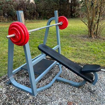 Banc de musculation professionnel beschikbaar voor biedingen