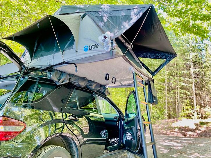 Daktent, Caravans en Kamperen, Tenten, Ophalen of Verzenden