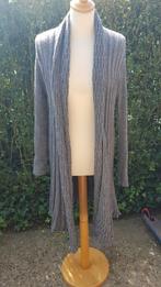 Gilet long gris taille unique, Vêtements | Femmes, Pulls & Gilets, Enlèvement ou Envoi, Comme neuf, Taille 38/40 (M), Gris