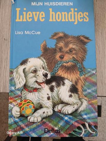 Maccue - Myn huisdieren lieve hondjes beschikbaar voor biedingen