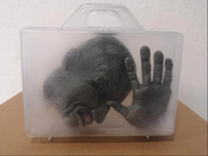 Brother X- Prisoner in my own luggage, Antiek en Kunst, Kunst | Designobjecten, Ophalen