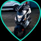 TGB BULLET, Vélos & Vélomoteurs, Pièces de cyclomoteur | Scooters, Enlèvement, Utilisé