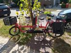 Onderwaterfiets elektrische tandem, Fietsen en Brommers, Fietsen | Tandems, Ophalen, Zo goed als nieuw, Vering