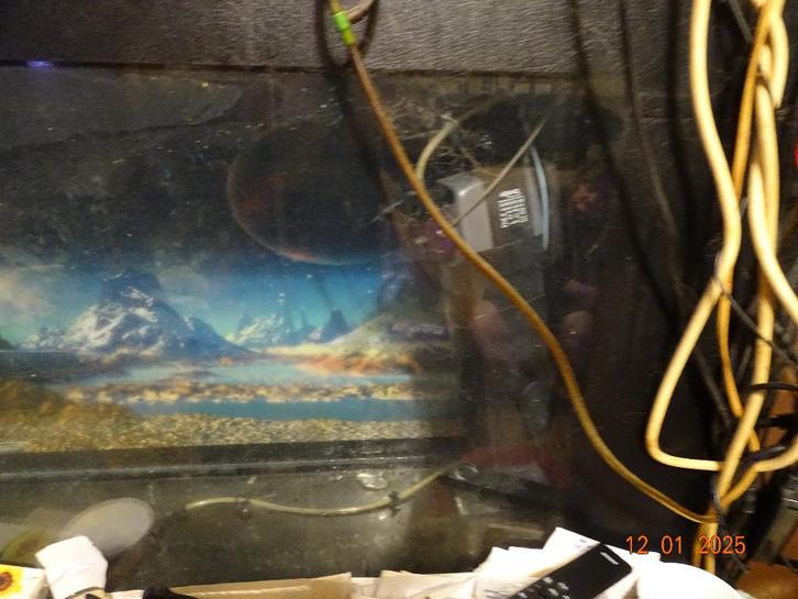 aquarium  120x 30 x 60, Animaux & Accessoires, Poissons | Aquariums & Accessoires, Utilisé, Aquarium vide, Enlèvement