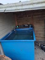 Quarantainebak koi met filter en drainage 160X100X80, Jardin & Terrasse, Accessoires pour étangs, Plateau d'étang, Enlèvement