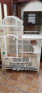 Cage oiseaux, Ophalen, Zo goed als nieuw