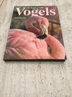 De bonte wereld van de vogels, Dieren en Toebehoren, Vogels | Parkieten en Papegaaien