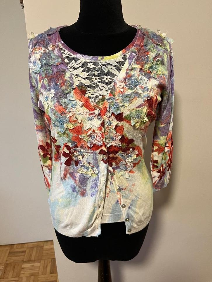 Mooi twinsetje Léo Guy, maat 3, Kleding | Dames, Truien en Vesten, Zo goed als nieuw, Maat 38/40 (M), Overige kleuren, Ophalen of Verzenden