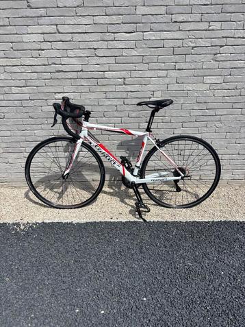 WILIER TRIESTINA MONTEGRAPPA koersfiets maat S beschikbaar voor biedingen