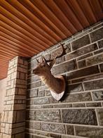 Opgezet hertenkop, Antiek en Kunst, Ophalen