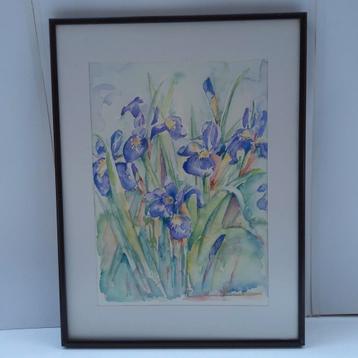Origineel aquarel " Blauwe Irissen " ingelijst 31 x 41 cm beschikbaar voor biedingen