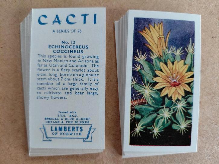 Cacti complete set 25 cactus chromos Lambert & Sons 1962, Verzamelen, Foto's en Prenten, Prent, Natuur, 1960 tot 1980, Ophalen of Verzenden