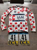 Originele bollentrui Sylvain Chavanel Paris Nice gesigneerd, Enlèvement ou Envoi, Utilisé, Vêtements