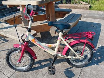 Lollipop - 12,5 inch beschikbaar voor biedingen