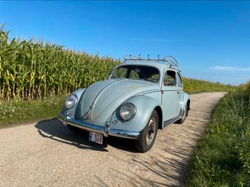 Coccinelle ovale VW 1956, Autos, Achat, Volkswagen, Particulier, Essence